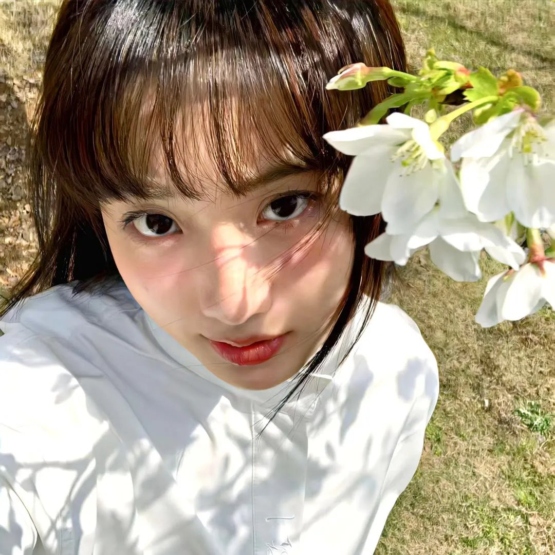 红杏痴魂